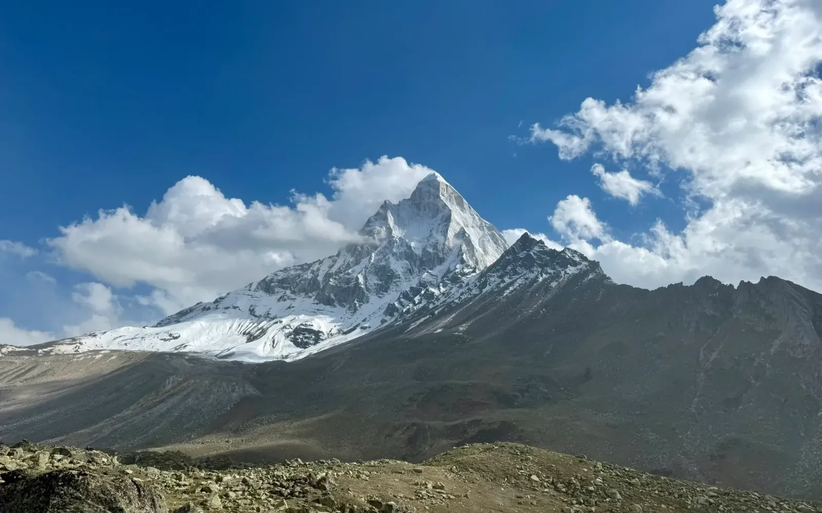 Mount Shivling rising above the Tapovan meadow under a blue sky with clouds