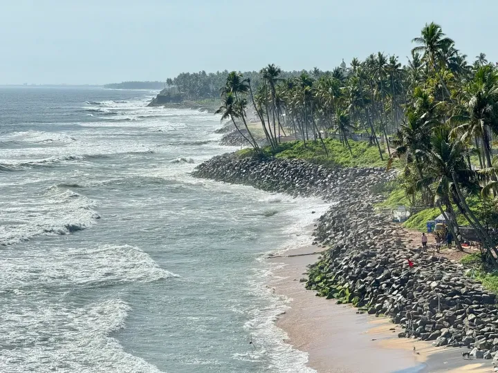 Waves of the Arabian Sea breaking below coconut palms on the coast at Varkala